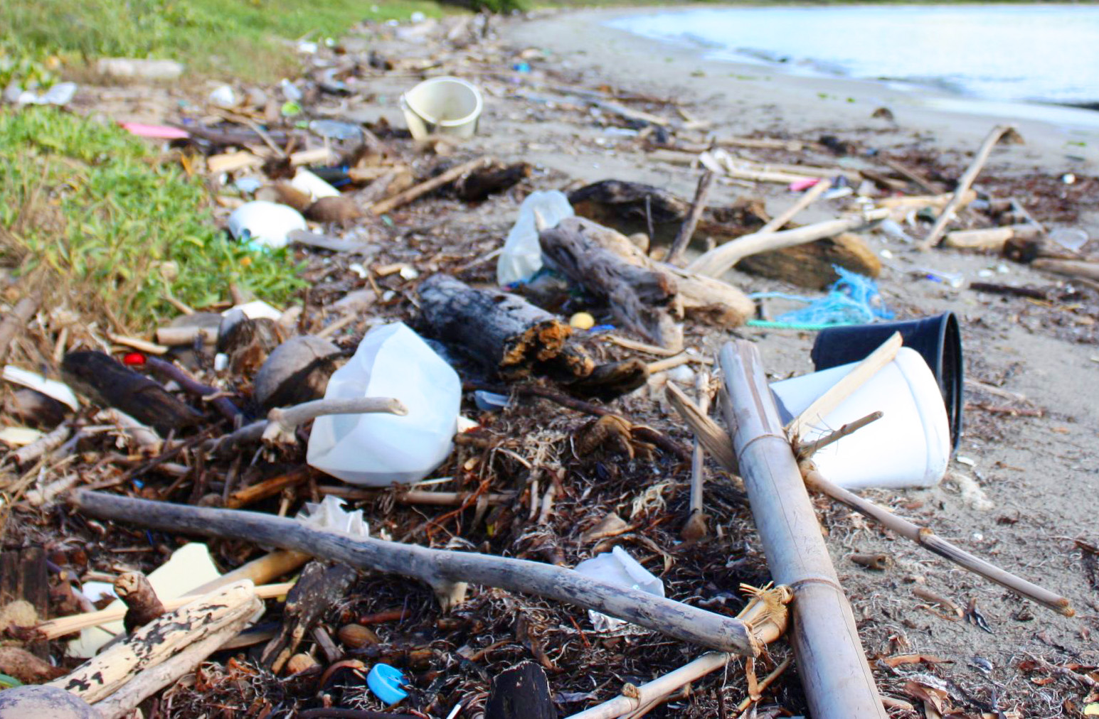 coastal pollution